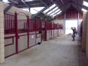 Foal Boxes