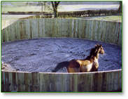 A Peart Arenas lunging ring